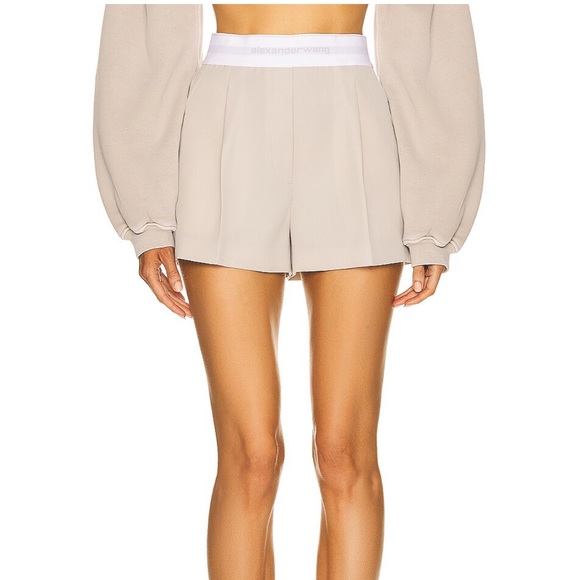 NWT Alexander Wang Elasticized Waist Taupe Feather Pleated Wool Shorts Size 6 - Picture 2 of 9